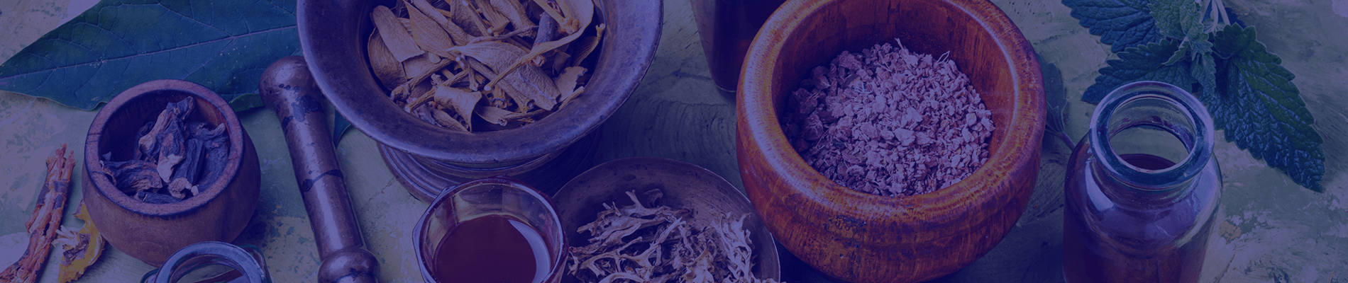 Understanding Ayurveda